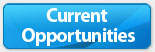 Current Opportunities Current Opportunities