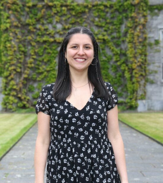 new Global citizenship education officer
