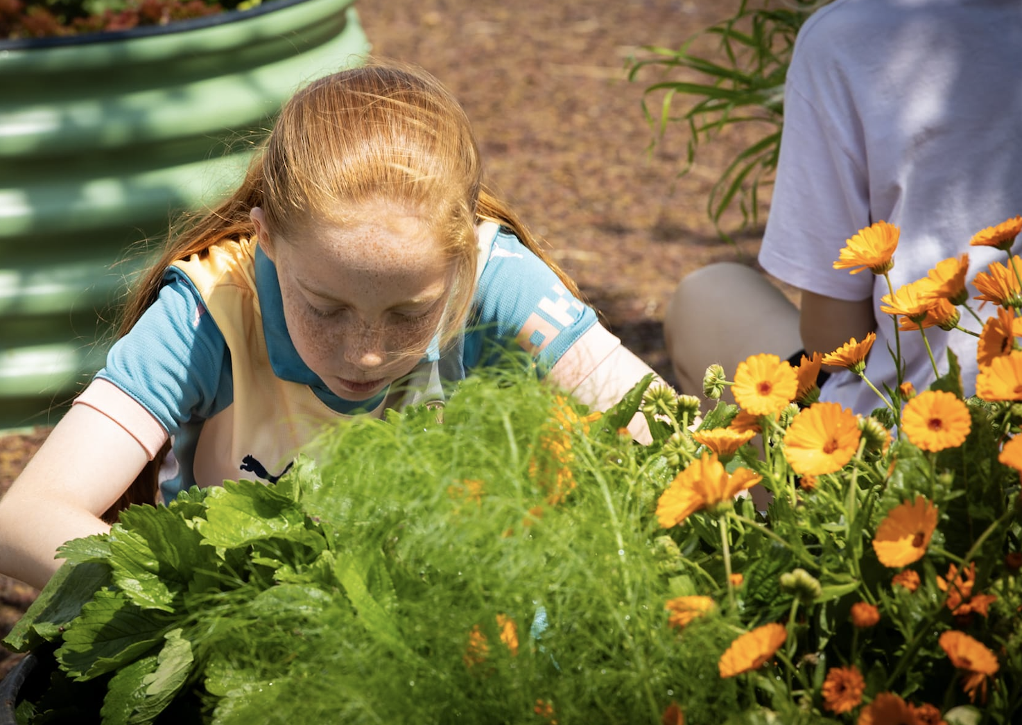 DPETNS2 GROW at School DPETNS