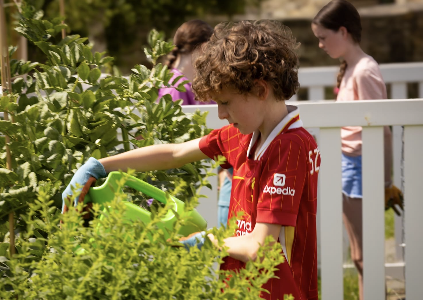 DPETNS3 GROW at School DPETNS