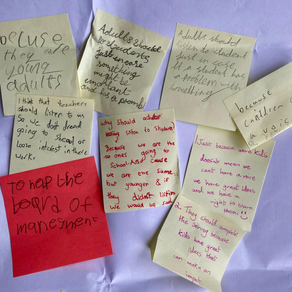 student feedback RISE survey RISE survey