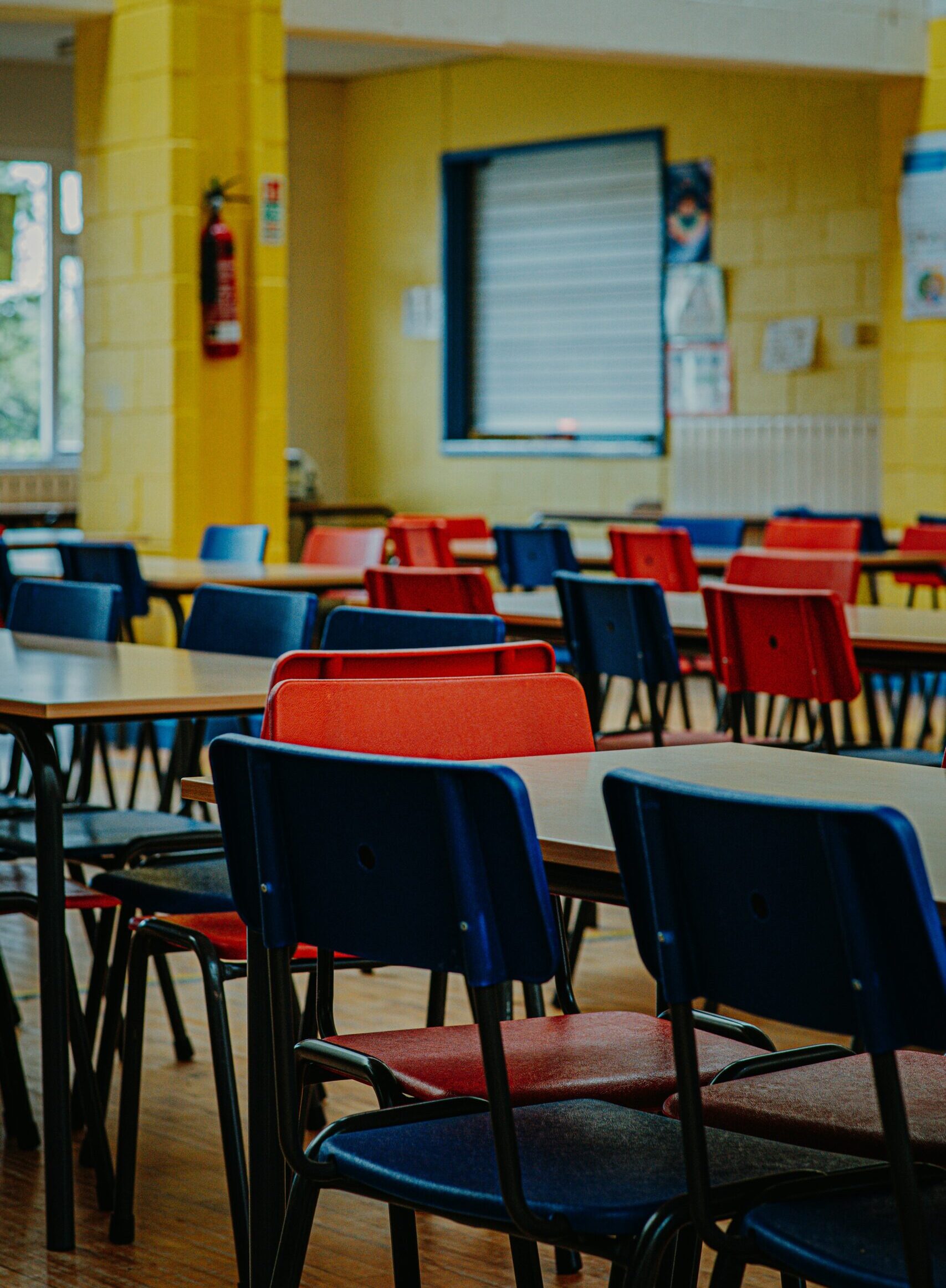 samuel-steele-Qu1h2cUCUiU-unsplash primary school capitation